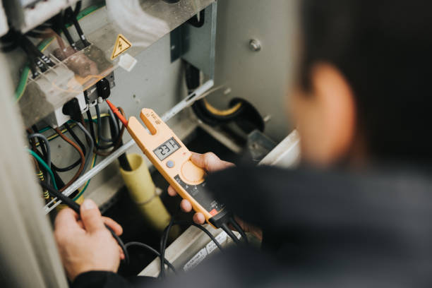 Best Home Electrical Repair  in Ovid, MI