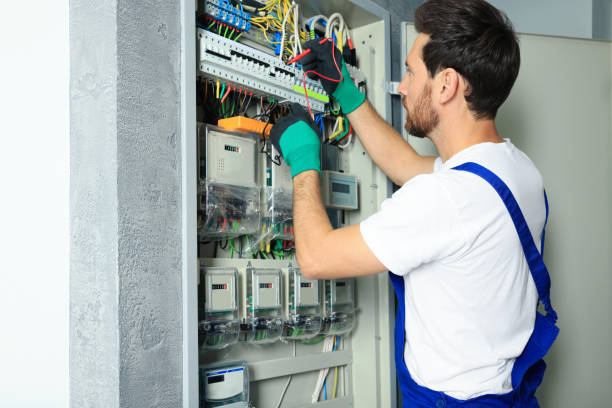 Best Generator Installation Services  in Ovid, MI