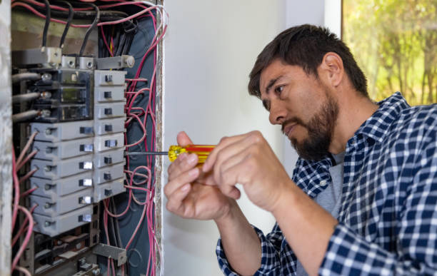 Best Electrical Outlet Repair  in Ovid, MI